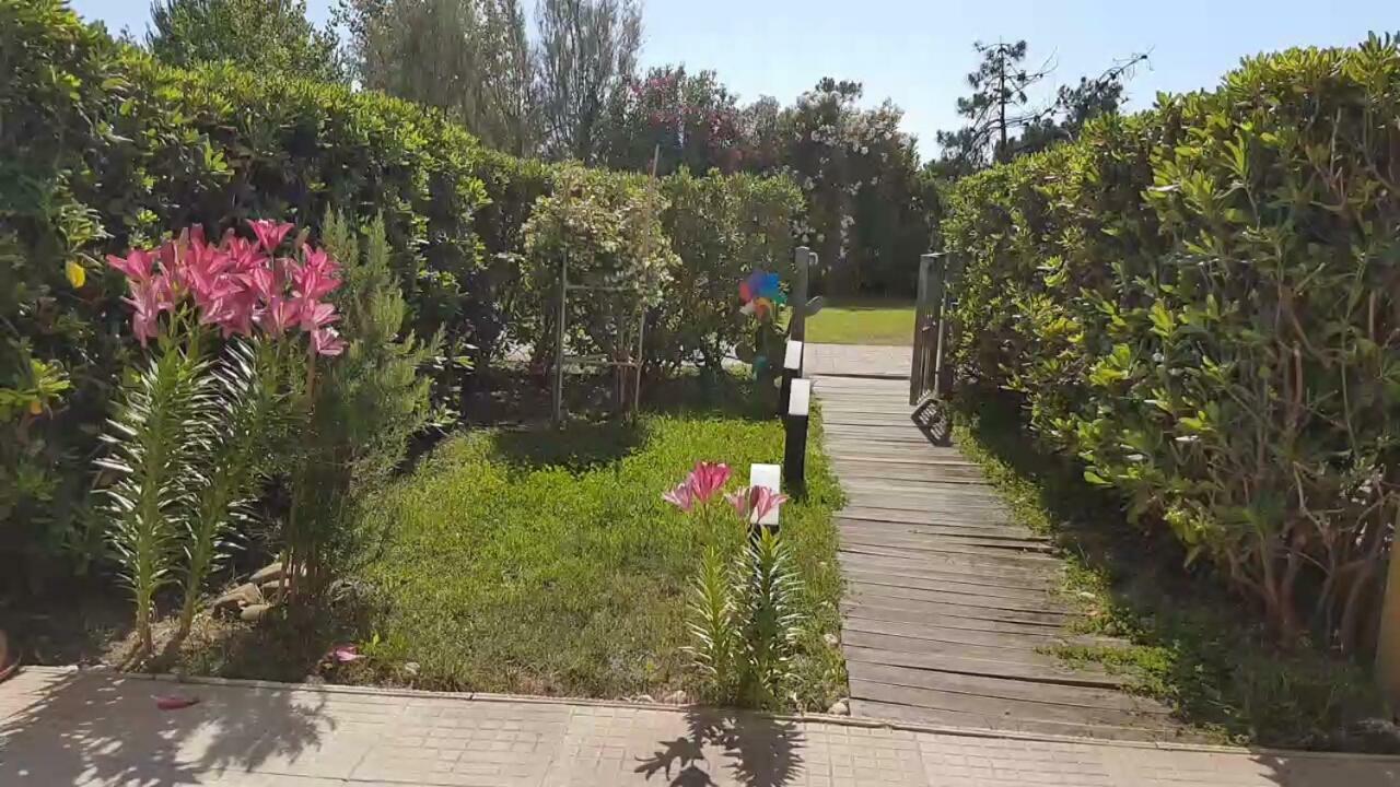 Sea Beach Relax Tirrenia Exterior photo