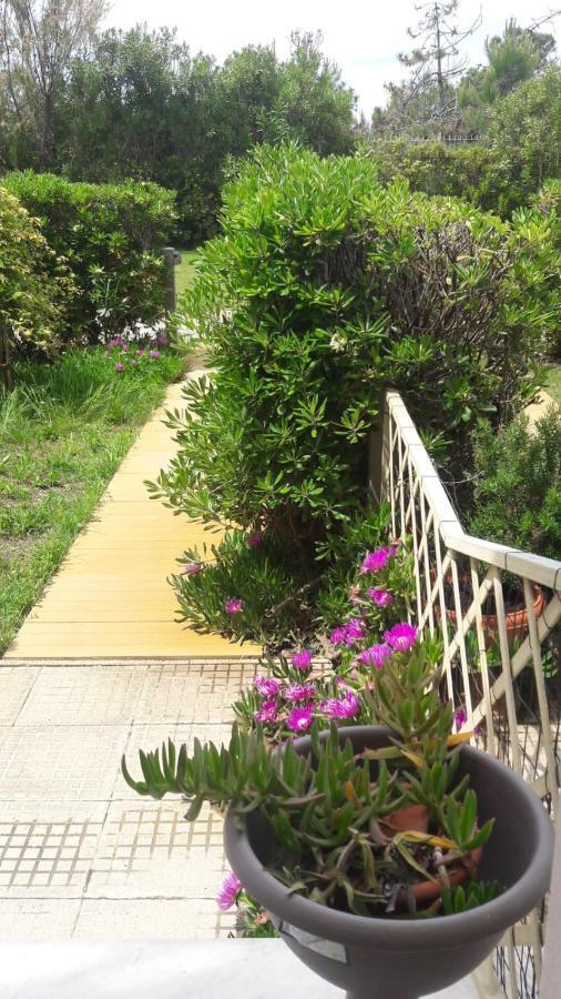 Sea Beach Relax Tirrenia Exterior photo