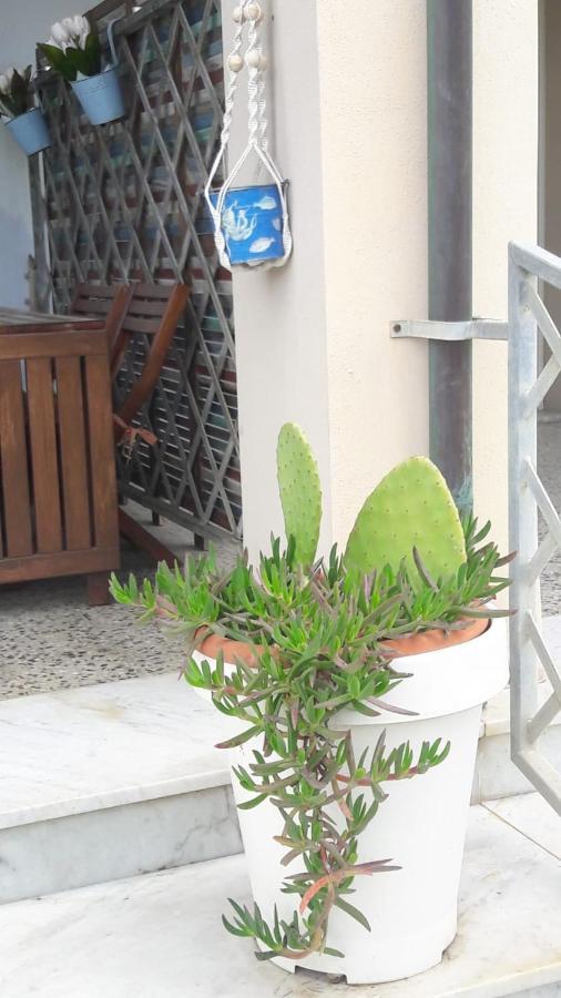 Sea Beach Relax Tirrenia Exterior photo
